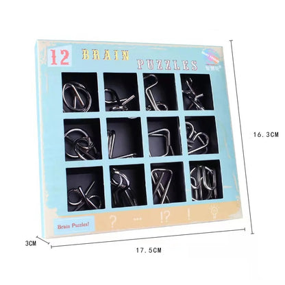 Metal IQ Puzzle Set (12 Pcs) – Brain Teaser Wire Puzzles for Kids & Adults